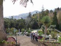 130. Monte, Madeira