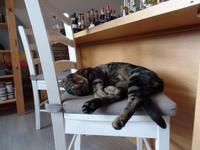 Singlereise Portugal _ Cabo de Sao Vincente