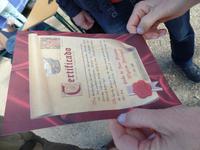 Singlereise Portugal _ Zertifikat für die letzte Bratwurst vor Amerika