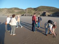 Singlereise Portugal _ Jeepsafari an der Westküste