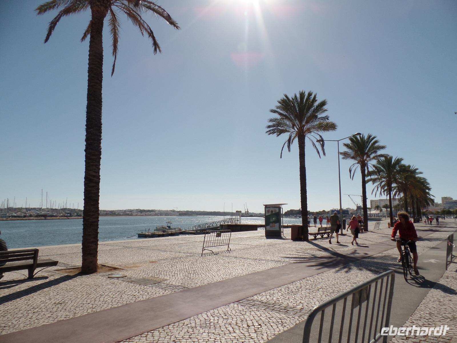 Singlereise Portugal _ Hafen von Portimao