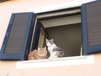 Singlereise Portugal _ Serra de Monchique 