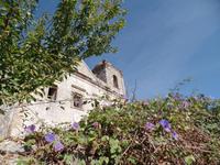Singlereise Portugal _ Serra de Monchique 