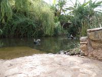 Singlereise Portugal _ Bergdorf Alte