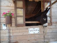 Singlereise Portugal _ Bergdorf Alte