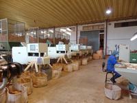 Singlereise Portugal _ Korkfabrik