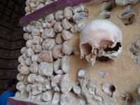 Singlereise Portugal _ Knochenkapelle in Faro