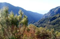 131 Encumeada Pass
