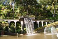 Im Tropischen Garten Monte Palace