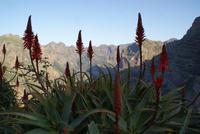 Eira do Serrado mit Blick ins Nonnental