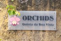 Besuch im Orchideengarten