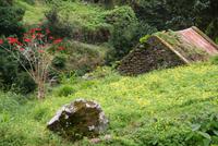 Levada Wanderung am Neujahrstag