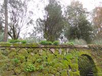 Quinta da Aveleda (1)