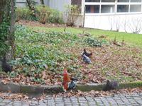 Quinta da Aveleda (3)