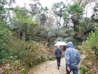 Quinta da Aveleda (8)