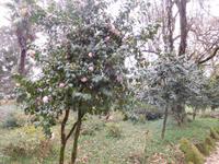 Quinta da Aveleda (10)