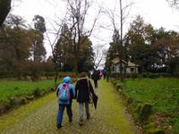 Quinta da Aveleda (12)