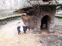 Quinta da Aveleda (17)