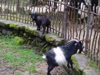 Quinta da Aveleda (18)