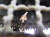 Quinta da Aveleda (26)