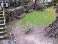 Quinta da Aveleda (31)