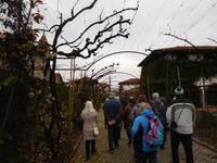 Quinta da Aveleda (35)