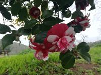 Ausflug in den Nordwesten