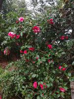 Ausflug in den Nordwesten