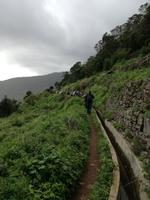 Levada von Marocos
