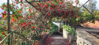 132 Besuch des Orchideengartens