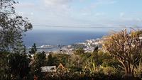 Blick auf Funchal