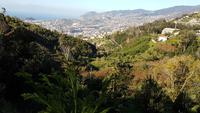 Blick vom Garten der Familie Reid Richtung funchal