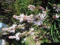 15 Monchique Gebirge