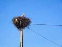 094 Monchique Gebirge