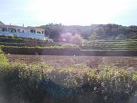 096 Villa de Monchique