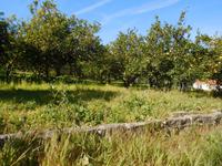 099 Monchique Gebirge