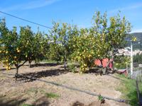 100 Monchique Gebirge