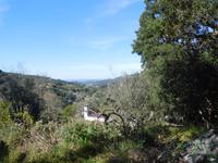 104 Monchique Gebirge