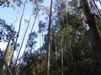 109 Monchique Gebirge