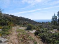 116 Monchique Gebirge