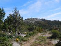 118 Monchique Gebirge