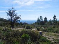 120 Aufstieg zum Picota