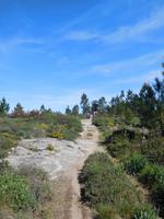 121 Aufstieg zum Picota