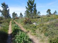 122 Aufstieg zum Picota