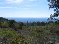 123 Aufstieg zum Picota