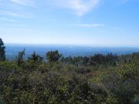 125 Aufstieg zum Picota