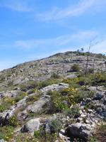 126 Aufstieg zum Picota