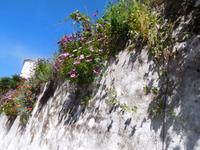 152 Caldas de Monchique