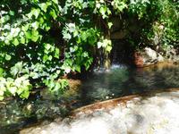 157 Caldas de Monchique