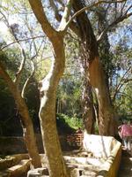 158 Caldas de Monchique